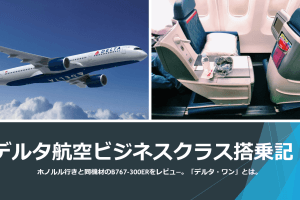 デルタ航空キャンペーン ニッポン500マイル ならana Jal Lcc 特典航空券でもマイルが貯まる すけすけのマイル乞食