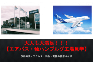 18 ロシアワールドカップ 日本の対戦相手が決定 日程 観戦ツアー チケットの購入方法は すけすけのマイル乞食