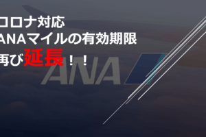 途中まで使ったana特典航空券の残り区間がコロナウイルスで全部運休 キャンセルと払い戻しはできる さざなみ壊変